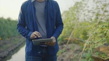 los jardineros masculinos están usando una tableta para verificar los pedidos y verificar la calidad de la calabaza amarga. en su jardin video