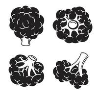 Broccoli icon set, simple style vector