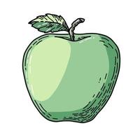 ilustración vectorial dibujada a mano de manzana verde con hoja. dibujo de dibujos animados sobre fondo blanco aislado para icono o logotipo vector