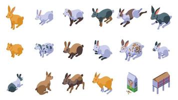 conjunto de iconos de cría de conejos vector isométrico. animales holandeses