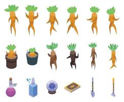 Mandrake icons set isometric vector. Ancient alchemy vector