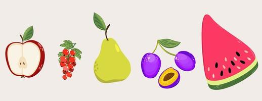 conjunto vectorial de varias frutas dulces sobre fondo claro. vector