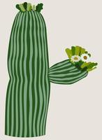 Vector isolated illustration of blooming cactus.