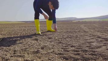 il contadino sta coprendo i semi di terra con la mano. il contadino che mette i semi nel campo copre i semi di terra con la mano. video
