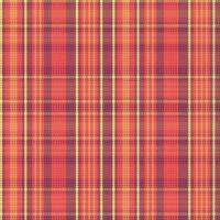 Tartan plaid pattern with texture and warm color. vector