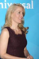 LOS ANGELES, JAN 19 -  Gillian Anderson at the NBC TCA Winter 2014 Press Tour at Langham Huntington Hotel on January 19, 2014 in Pasadena, CA photo