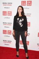 LOS ANGELES, OCT 9 -  Jordana Brewster at the UNIQLO Los Angeles Opening at UNIQLO, Beverly Center on October 9, 2014 in Beverly Hills, CA photo
