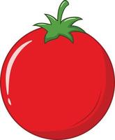 Fresh Single Red Tomato Vector Illustration