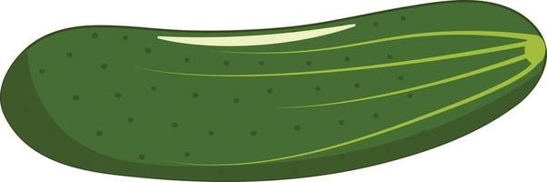 Fresh and Isolated Cucumber Vector Illustration