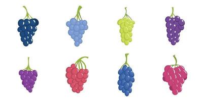 Grape wine bunch icons set, flat style vector