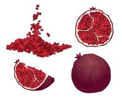 Pomegranate icons set, cartoon style vector