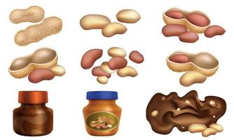 Peanut icons set, cartoon style vector