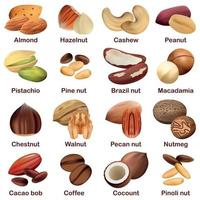 Nut types signed names mockup set, realistic style vector