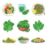 Spinach icons set, cartoon style vector