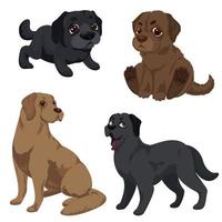 Labrador icons set, cartoon style vector