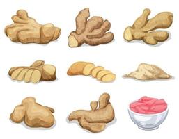 Ginger root icons set, cartoon style vector