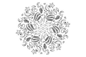 círculo de fruta doodle dibujo a mano alzada vector aislado en patrón blanco