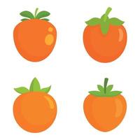 Persimmon icon set, flat style vector