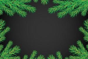 background with Christmas trees branches vector