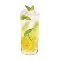 watercolor illustration of drink with lemon mint clip art vector