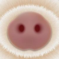 Cute nose of pig. head of little Piggy vector