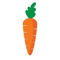 Diet carrot icon isolated on white background vector