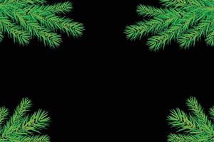 background with Christmas trees branches vector