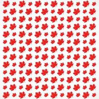 pattern of Red maple leaves on white background. texture template in autumn leaves vector