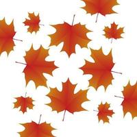 Texture of maple leaves on white background. Maple leaves vector design for wallpaper and pattern style of clothes and fashion