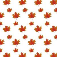 The pattern of maple leaves on white background. Modern maples in summer and autumn season leaves texture design vector