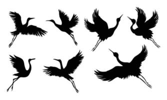 Collection of cranes bird silhouette isolated on white background vector