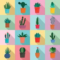 Succulent and cactus flowers icons set, flat style vector