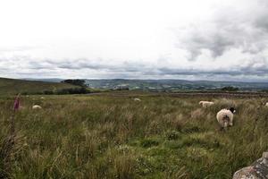 A view of the Yorkshire Moors near Mallam Cove photo