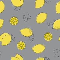 Seamless pattern of yellow lemons on gray background. Hand drawn with pencil contours vector