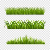 elemento de hierba fondo transparente vector