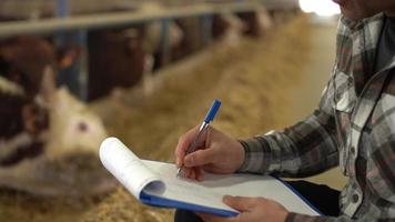 engorda aberta e um modelo moderno de criação de gado. agricultor tomando notas enquanto olha para o gado no celeiro. fazenda de engorda de carne video