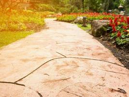 Walkway in the flowers garden photo