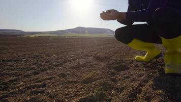 el granjero toma la tierra con la palma de la mano y la vierte. agricultor recogiendo suelo en tierras de cultivo. toma la tierra y la vierte de su palma. video