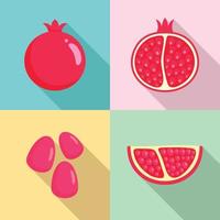 Pomegranate juice seeds icons set, flat style vector