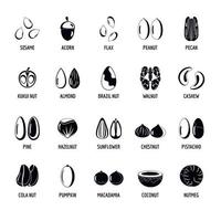 Nut types with signed names icons set simple style vector