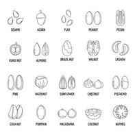 Nut types with signed names icons set outline style vector