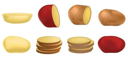 Potato icon set, realistic style vector