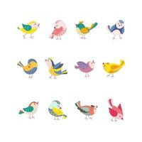 Funny colored birds in different poses set. Exotic birds collection. Vector illustration in flat style