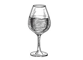 Wine glasses sketch vector illustration. Hand drawn label design elements.