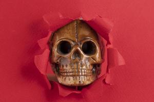 A copy of the Human Skull peeks out from behind red scraps of paper. Red background. Copy space. photo