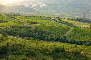 Vineyards in a mountain valley at sunrise. photo