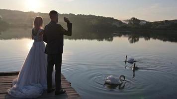 los recién casados alimentan juntos a los cisnes en el lago al atardecer video