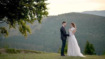 les jeunes mariés s'embrassent et s'admirent près du vieux chêne sur fond de montagnes. video