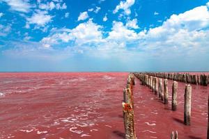 Exotic pink salt lake and blue sky with clouds. photo