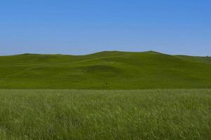 A picturesque view of the green steppe hills, pastures stretching into the distance. photo